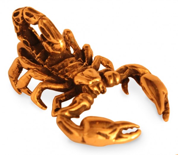 Amulett, Anhänger 'Großer Skorpion Draupnir' aus Bronze - Mittelalter, Larp, Fantasy Schmuck