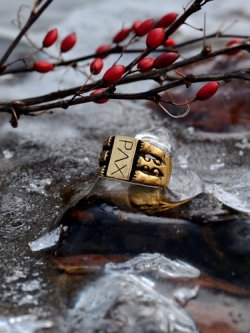 Mittelalterlicher Ring "PAX" Bild 4