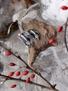 Germanen-Ring "Naustdal" Bild 5