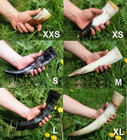 Trinkhorn XL / 0,6 - 0,65 l Bild 2
