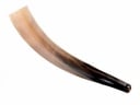 Wikinger-Signalhorn 3