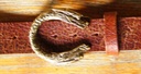 HYDRA, 4cm, messingfarbene Schließe,,Schnalle Schlangen