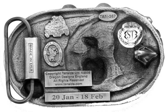 Sternzeichen Wassermann - Aquarius 4cm Schließe, Schnalle