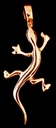 Bild1