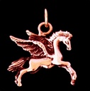 Bild1
