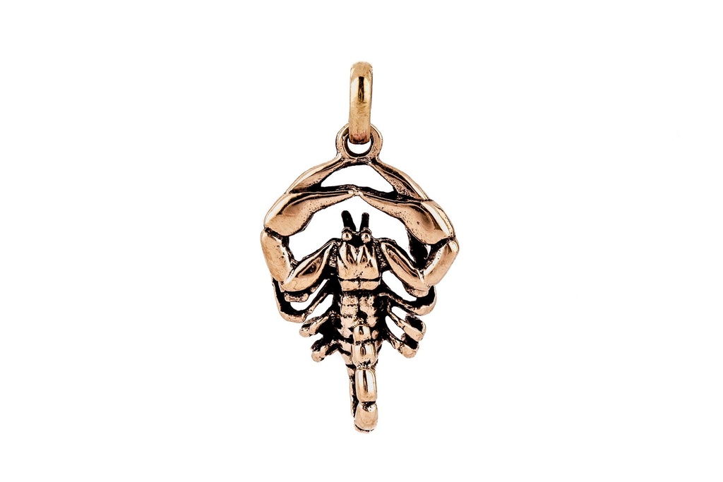 Skorpion-Anhänger IMPERATOR aus Bronze – Symbol für Schutz und Transformation (2,6 cm)