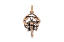 Skorpion-Anhänger IMPERATOR aus Bronze – Symbol für Schutz und Transformation (2,6 cm)