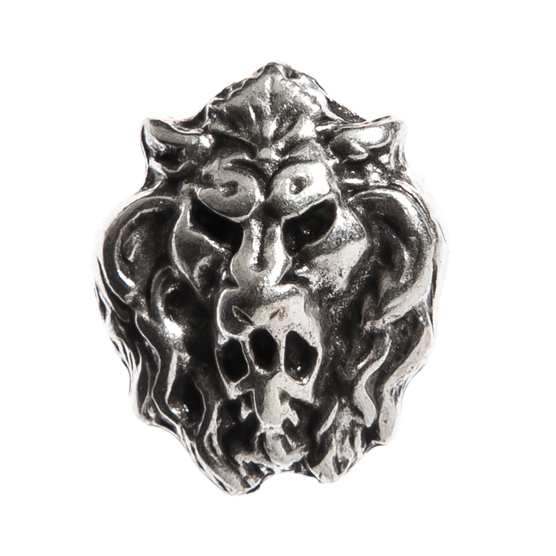 kleiner Löwenkopf, silberfarbener Beschlag