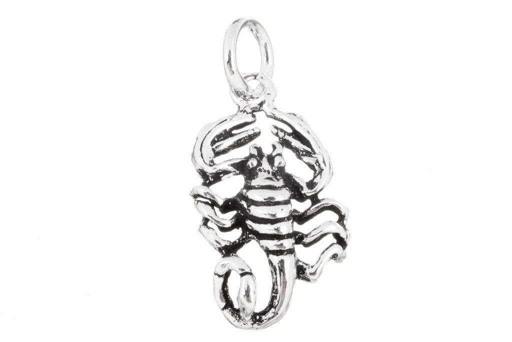 Skorpion-Anhänger STICH aus 925er Silber – Symbol für Schutz und Transformation (2,3 cm)