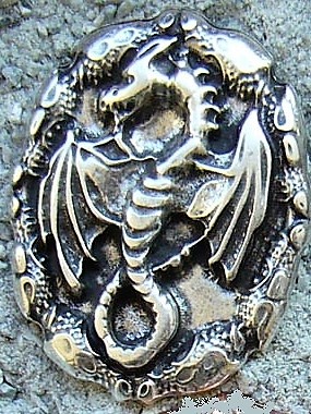 Drachen-Amulett Zierbeschlag in Silberoptik – Detailliertes Drachenmotiv 35 x 45 mm