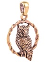 Amulett Anhänger "Namida – Uhu" aus Bronze – Symbol der Weisheit & Magie 3,7 cm