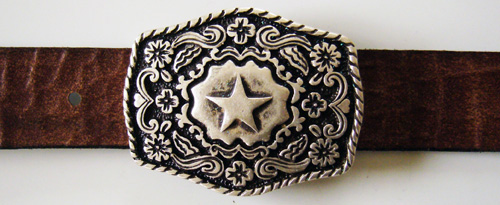 Star, silberfarbene Schließe