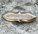 Zierbeschlag „Doppeldolch“ in Silberoptik – Kleiner Klingenbeschlag 35 x 10 mm