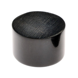 Hornrolle / klein - 25 x 15 mm