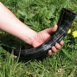 [04 Trinkhorn 5] Wikinger-Trinkhorn aus Rinderhorn - 0,5 l