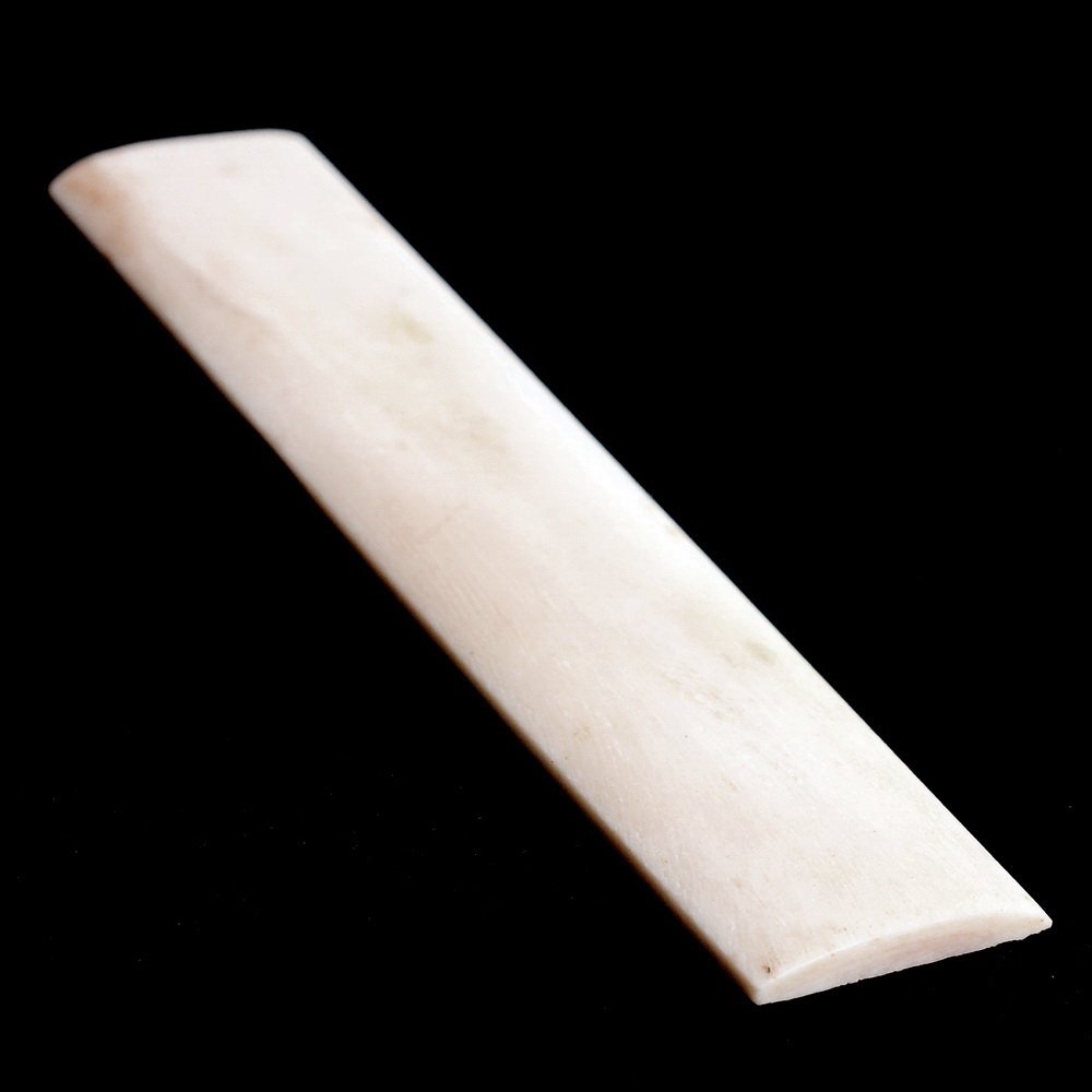 [02 Knochen-Pl D] Knochenplatte / ~120 x 25 x 3 mm - rund