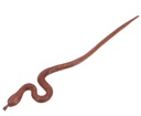 Holz Haarstab, Ethno Haarspange - Schlange/hell - 17 cm