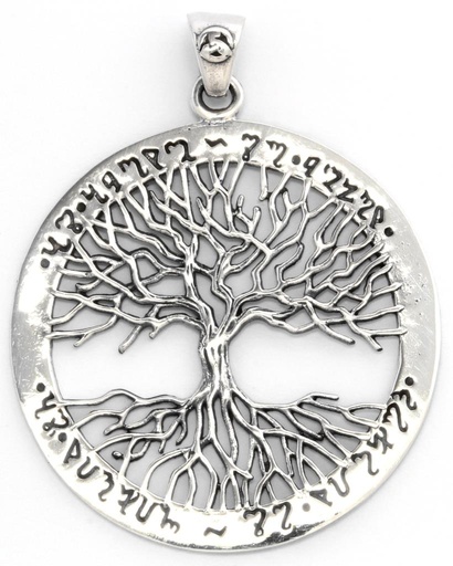 [WK2015-am193] Amulett, Anhänger 'Fiona - Elbenzauber' aus Silber 925 - Mittelalter, Larp, Fantasy Schmuck